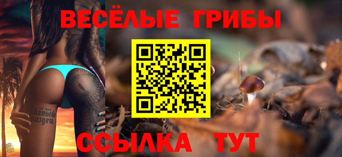 Псилоцибиновые грибы мицелий Шали